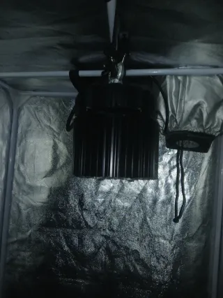 Foco LED tipo COB para cultivo interior