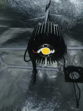 Foco LED tipo COB para cultivo interior
