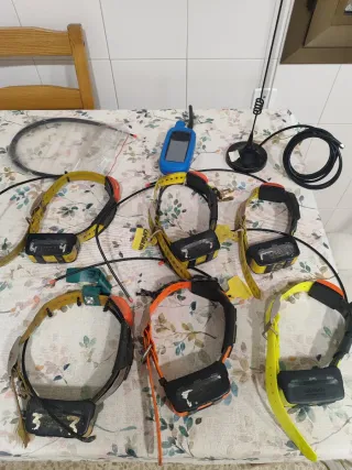 Lote Collares GPS Garmin