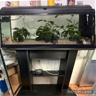 Acuario completo NO NEGOCIABLE