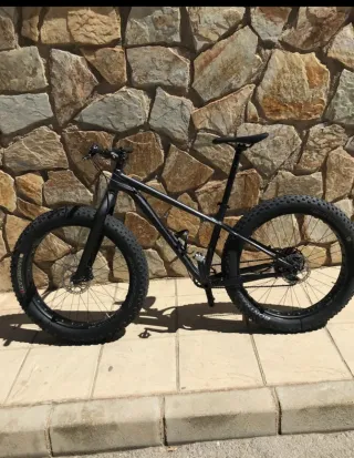 Bicicleta Fat Bike Negra marca Trek