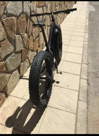 Bicicleta Fat Bike Negra marca Trek