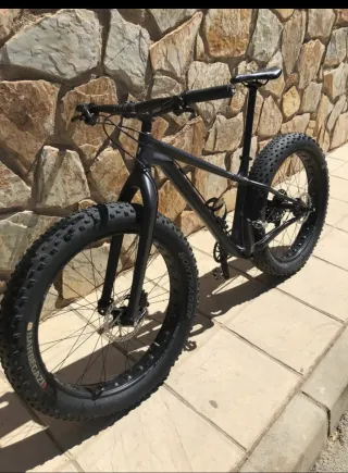 Bicicleta Fat Bike Negra marca Trek