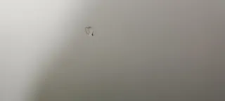 Conjunto habitación: cama, armario y cómoda