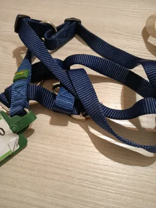 Pettorina Hunter taglia M