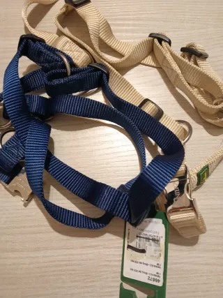 Pettorina Hunter taglia M