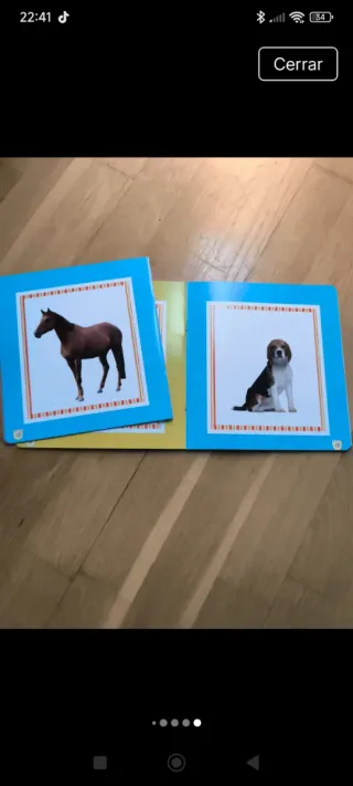 Proyecto Lisa 2 años con inglés