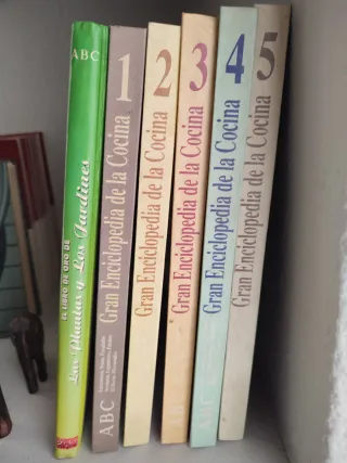 Gran Enciclopedia de la cocina