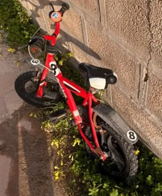 Bici per bambino rossa Dino Bikes