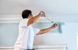 Pintor profesional con mucha experiencia