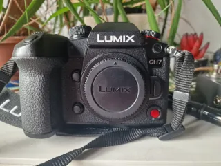 Panasonic Lumix GH7