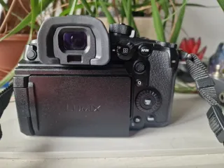 Panasonic Lumix GH7