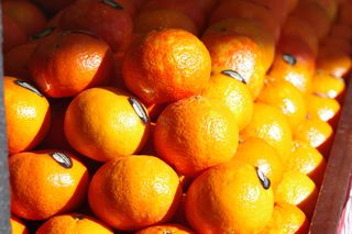 Tamron 90mm f/2.8 Macro 1:1 AF (para Pentax)