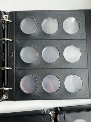 Álbumes monedas Filober + hojas pardo claraboya