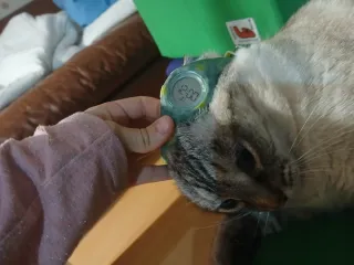 Reloj digital verde y amarillo