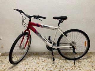 Bicicleta Teman Roja y Blanca