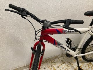 Bicicleta Teman Roja y Blanca