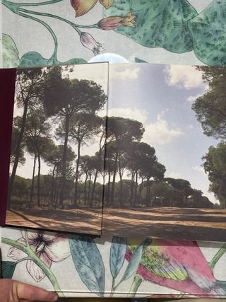 Libro Hermandades del Rocio