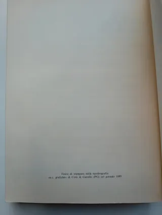 Passata la stagione.. di Elena Carandini Albertini