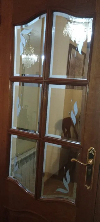 Conjunto puertas 240€ o puerta individual 50€