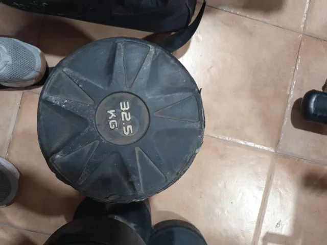 Mancuerna 32.5 kg