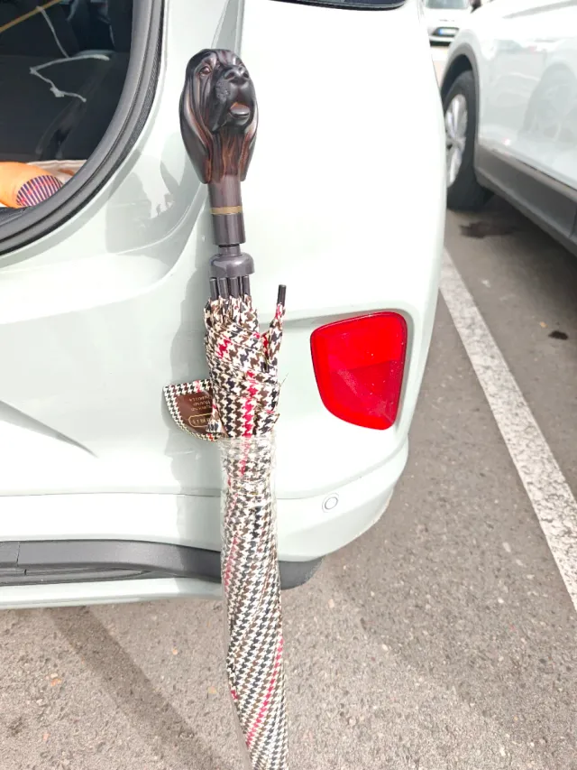 Paraguas con mango de perro