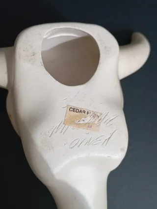 Cráneo Navajo Dineh - Cedar Mesa Pottery