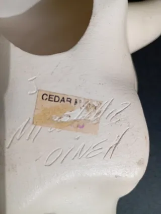 Cráneo Navajo Dineh - Cedar Mesa Pottery