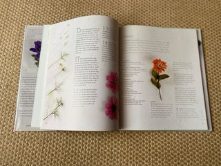 Sugar craft Flower arranging -Novo