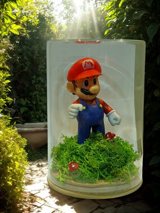 Figuras  en Cúpulas