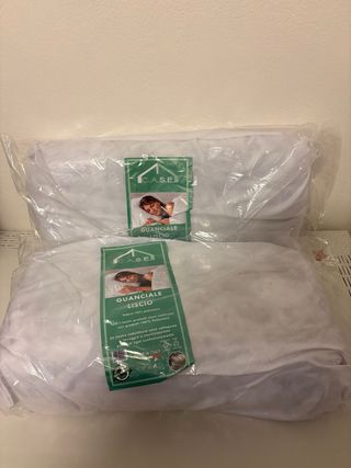 2 Cuscini C.A.S.E. in poliestere