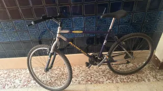 Bicicleta America X450