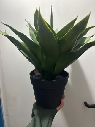 Maceta HOME DECO Negra y Verde