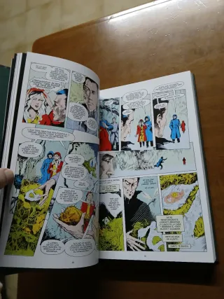 Cosa del pantano volumen 1 (ed. Deluxe)