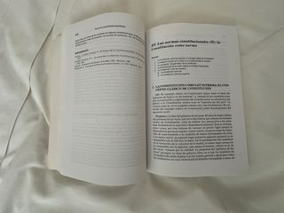 Manual de Derecho Constitucional Parte General ...