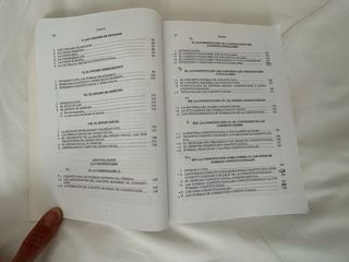 Manual de Derecho Constitucional Parte General ...