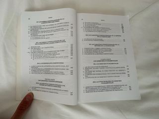 Manual de Derecho Constitucional Parte General ...