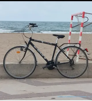 Bicicleta Negra