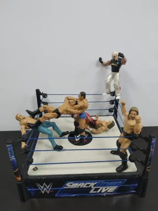 Figuras WWE + Ring