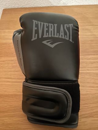Guantes Boxeo Everlast Powerlock