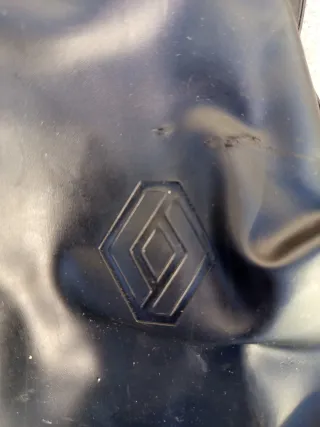 Gato Para Renault Grand Scenic