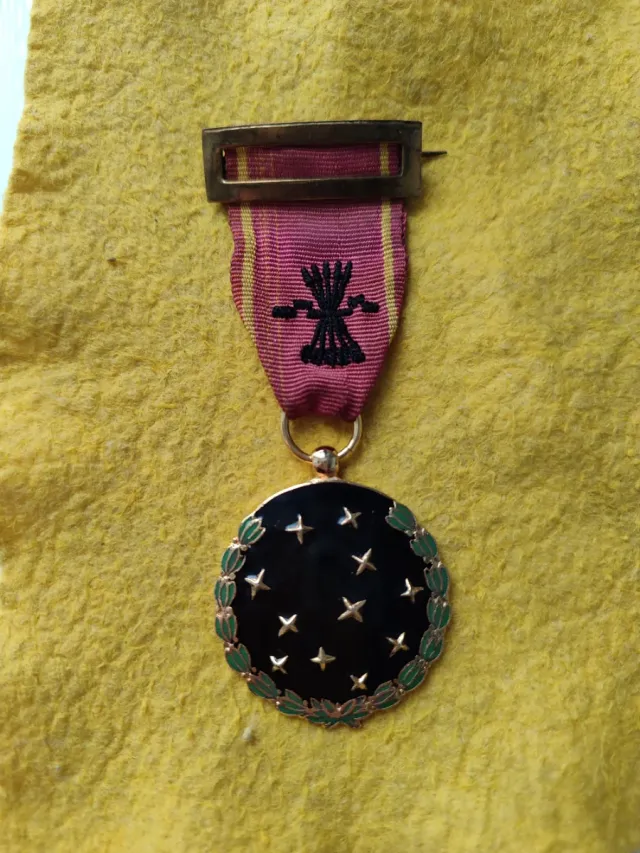 Medalla vieja guardia guerra civil España franco