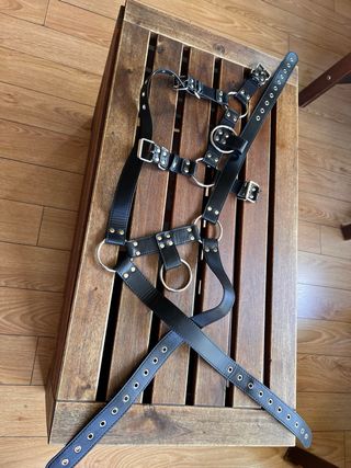 Arnés de Cuero Ajustable