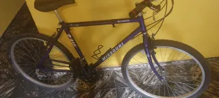 Bicicleta Missouri P410 Morada