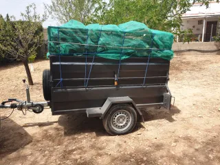 Leña de naranjo para chimenea o para barbacoa