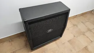 ✅ Pantalla Peavey 4x12 XXL