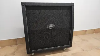 ✅ Pantalla Peavey 4x12 XXL