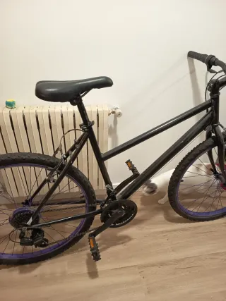Bicicleta Negra Ruedas Moradas