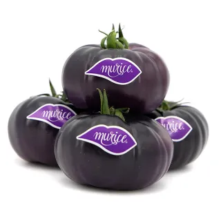 Semillas de Tomate Murice