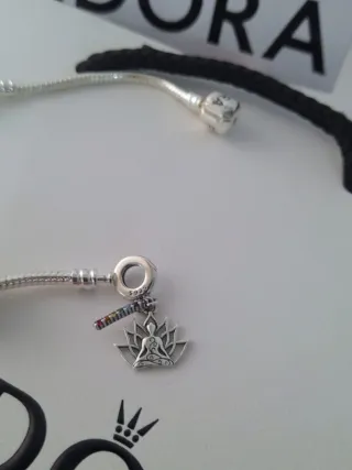 Pulsera Pandora Plata Original + 5 Charms